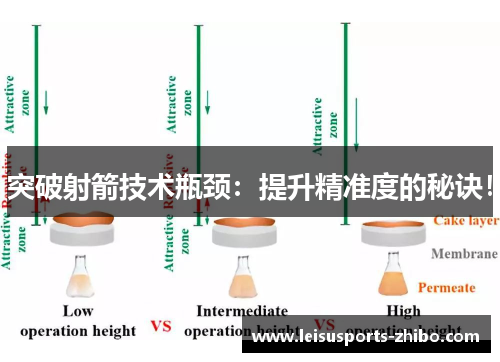 突破射箭技术瓶颈：提升精准度的秘诀！